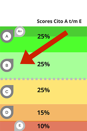 Scores cito B