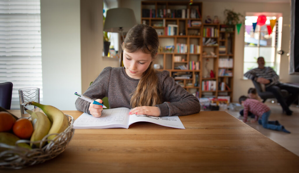 betrekkelijk voornaamwoord uitleg