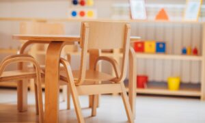 studiedag basisschool