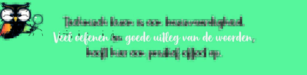 woordenschat technisch lezen