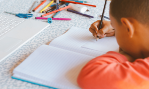 woorden met au of ou spelling groep 4