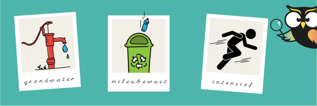 Woordenschat groep 8 woordenlijst