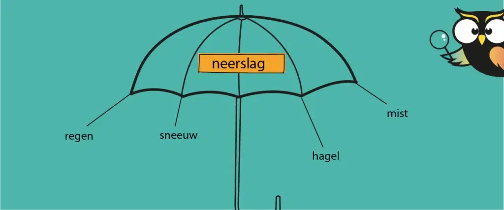 Woordenparaplu taal groep 4 neerslag