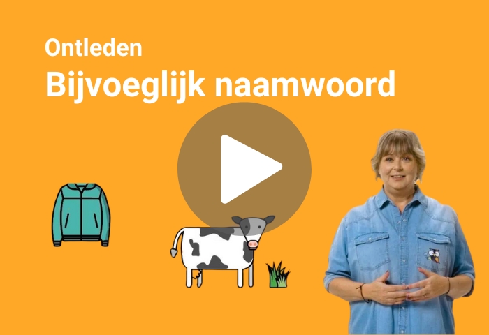bijvoeglijk naamwoord