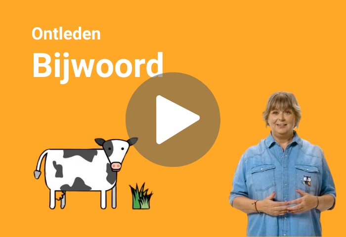 bijwoord