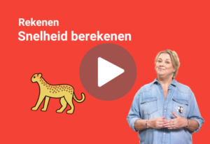 gemiddelde snelheid berekenen