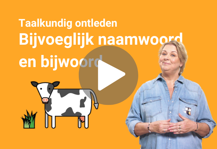 bijvoeglijk naamwoord en bijwoord